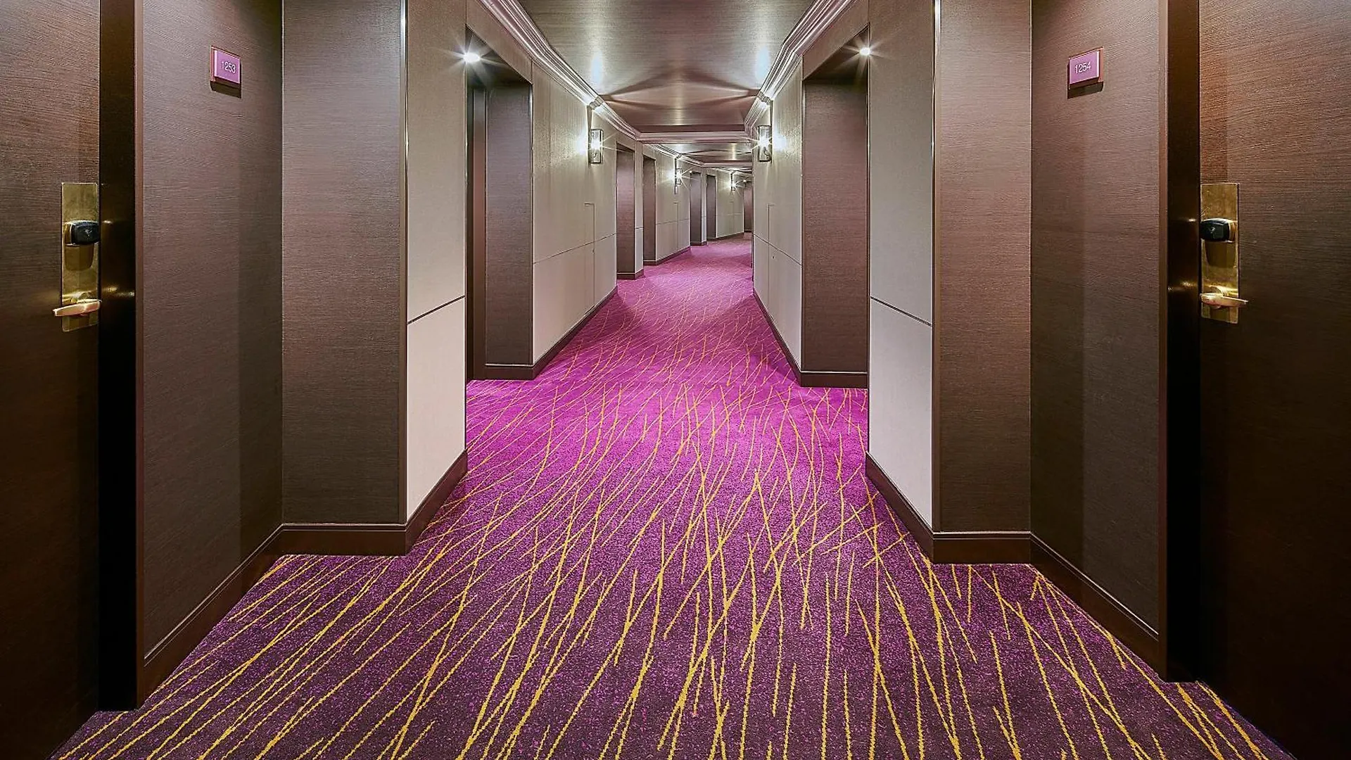 东京湾喜来登大酒店 浦安 日本